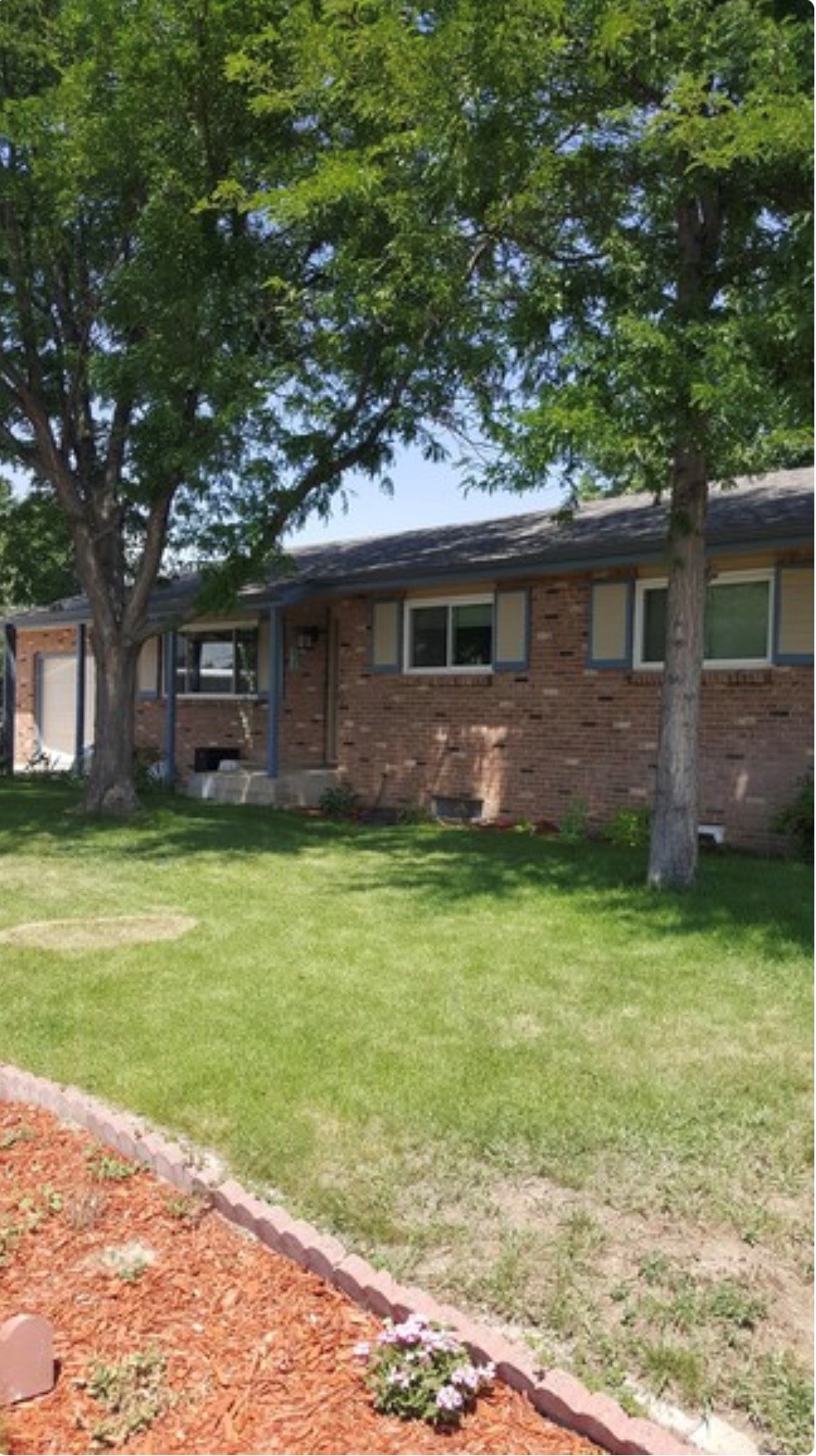 301 Olive Lane